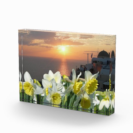 Daffodils Wit en Geel Fotoblok (Rechts)