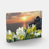 Daffodils Wit en Geel Fotoblok (Links)