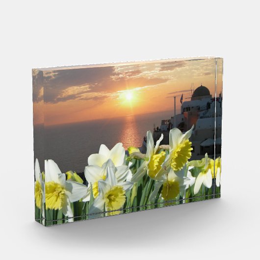 Daffodils Wit en Geel Fotoblok (Links)