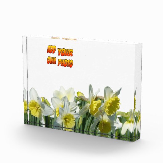 Daffodils Witte en Gele Cust. Fotoblok (Rechts)