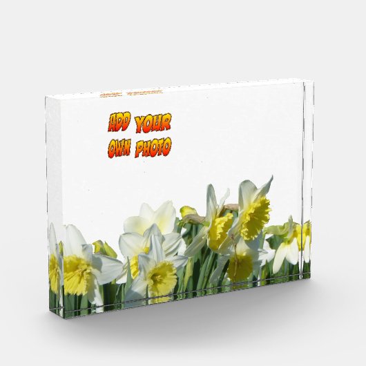 Daffodils Witte en Gele Cust. Fotoblok (Links)