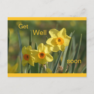 Daffodils Yellow Orange Cust. Get Well Postcard Feestdagenkaart