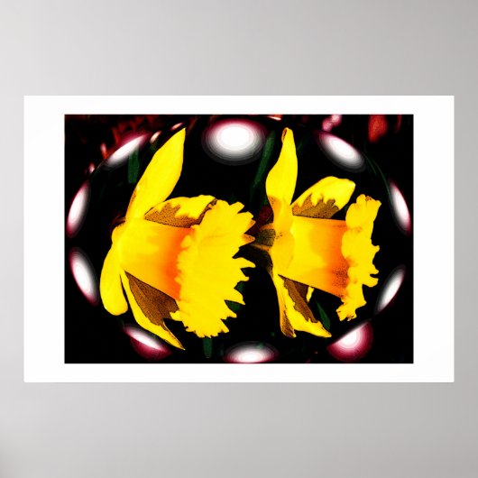 Daffodilspiralen Poster (Voorkant)