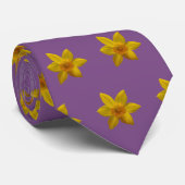 DaffodilStropdas Stropdas (Opgerold)