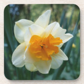 Daffodilventilator Bier Onderzetter (Voorkant)