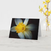 Daffodilventilator in de Kaart van de lichtnoot (Gele Bloem)