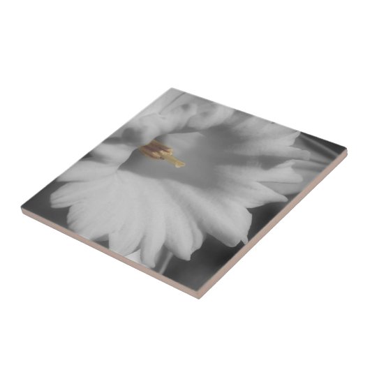 Daffodilventilator in zwart-wit tegeltje (Zijkant)