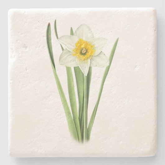 Daffodilventilator Stenen Onderzetter (Voorkant)