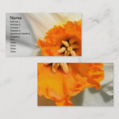 DaffodilVisitekaartje Visitekaartje (Voorkant / Achterkant)