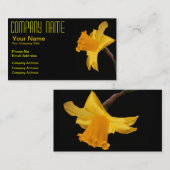 DaffodilVisitekaartje Visitekaartje (Voorkant / Achterkant)