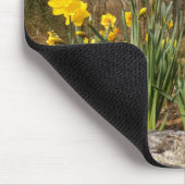 Daffodis bij paasmuis muismat (Hoek)