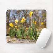 Daffodis bij paasmuis muismat (Met muis)