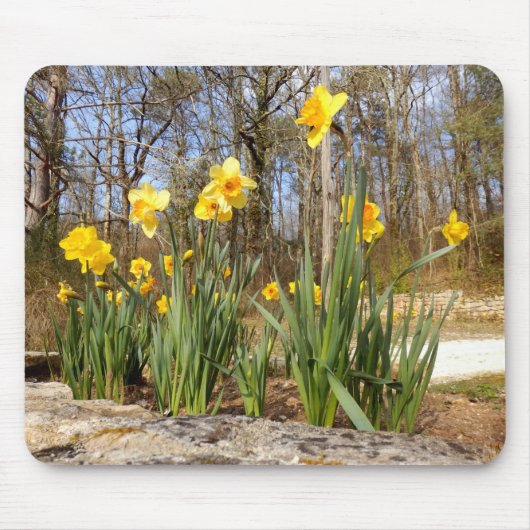 Daffodis bij paasmuis muismat (Voorkant)