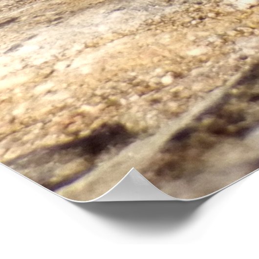 Daffodis bij paasPoster Poster (Hoek)