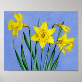 Daffodis botanische vingerafdrukken van poster