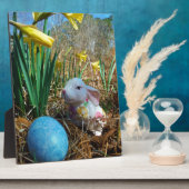 Daffodis en blauw paasei fotoplaat (Zijkant)