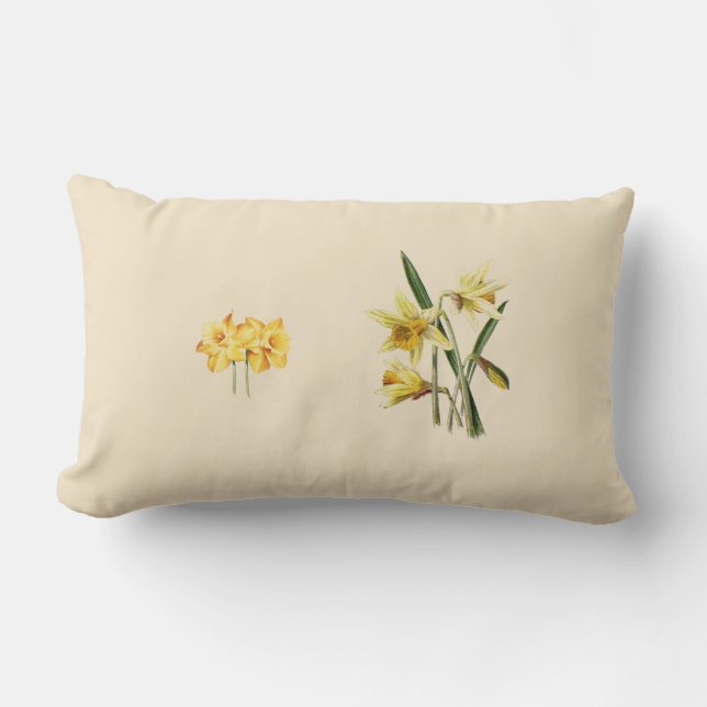 Daffodis gooien kussens (Voorkant)