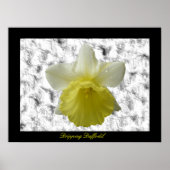Daffoldil  afdrukken poster (Voorkant)