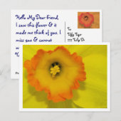 Daffy Briefkaart (Voorkant / Achterkant)