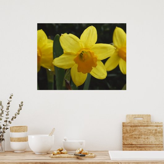 Daffy Poster (Keuken)