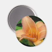 Dag 2 magneet (Voorkant / Achterkant)