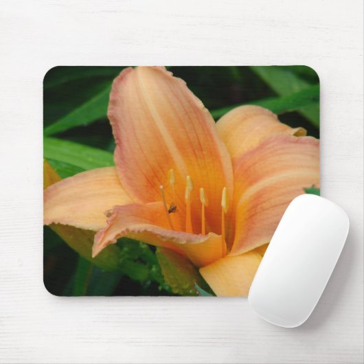 Dag 2 muismat (Met muis)