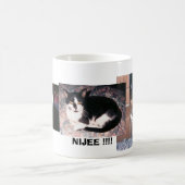 DAG 2, NIGEL GRIMLEY, BUDDIES #1, NIJEE... KOFFIEMOK (Center)