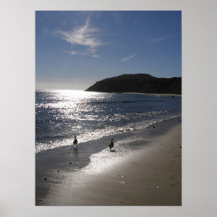 Dag bij het strand poster