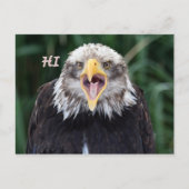 dag briefkaart (Voorkant)