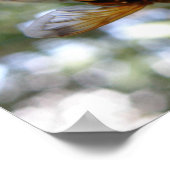 Dag Dag Dag Dag Hoverfly Print (Hoek)