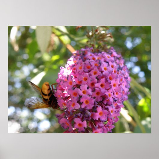 Dag Dag Dag Dag Hoverfly Print (Voorkant)