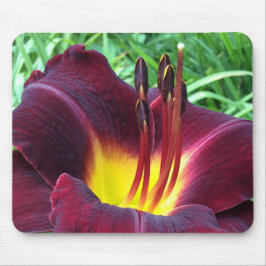 DAG "Dominic" B. Donkere wijn. Muismat