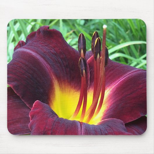 DAG "Dominic" B. Donkere wijn. Muismat (Voorkant)