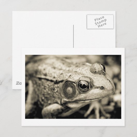 dag eenvoudige wens briefkaart (Voorkant / Achterkant)