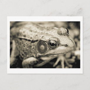 dag eenvoudige wens briefkaart