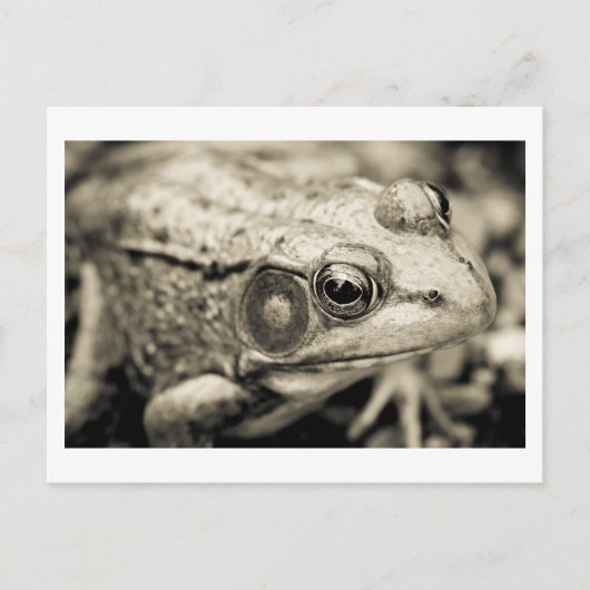 dag eenvoudige wens briefkaart (Voorkant)