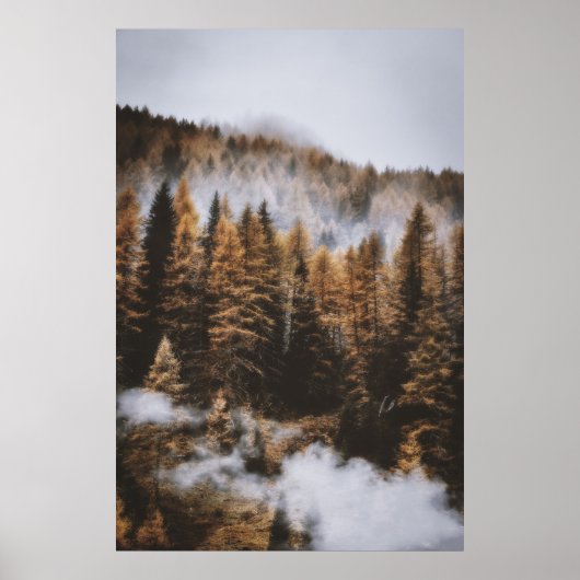 DAG EN BOMEN TIJDENS DE DAG POSTER (Voorkant)