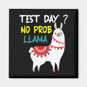 Dag Geen Prob-Llama Leraar Testdag voor Te Magneet