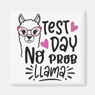 Dag Geen Prob-llama leraar testen Dag 1 Magneet