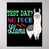 Dag Geen Prob Llama testdag Geen Probllama testdag Poster (Voorkant)
