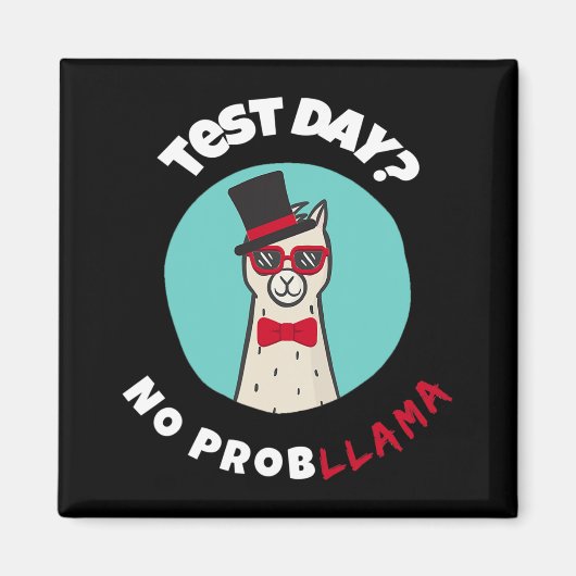 Dag Geen Problemen Grappig Testen Llama Ontwerp Magneet (Voorkant)