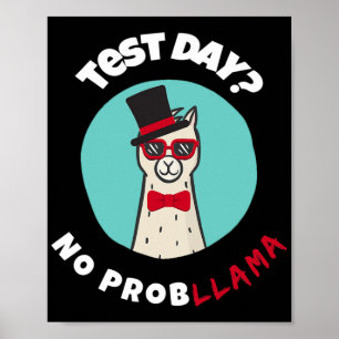 Dag Geen Problemen Grappig Testen Llama Ontwerp Poster