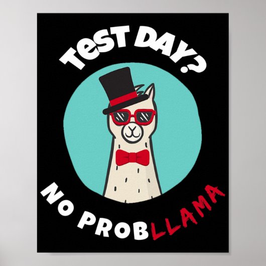 Dag Geen Problemen Grappig Testen Llama Ontwerp Poster (Voorkant)
