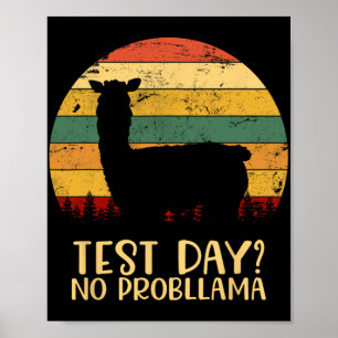 Dag Geen Problemen Silhouet Leraar Student Gradua Poster