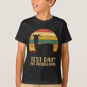 Dag Geen Problemen Silhouet Leraar Student Gradua T-shirt