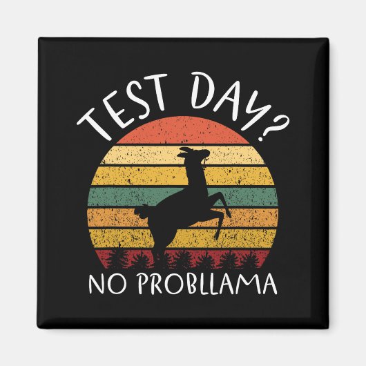 Dag Geen Problemen Staat Testen Leraar Student Boy Magneet (Voorkant)