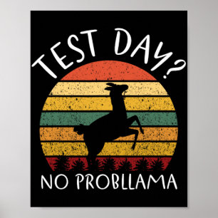 Dag Geen Problemen Staat Testen Leraar Student Boy Poster
