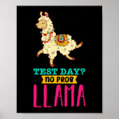 Dag Geen Probllama T Shirt Llama Gift School Proce Poster (Voorkant)