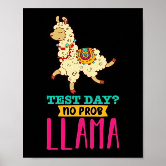 Dag Geen Probllama T Shirt Llama Gift School Proce Poster (Voorkant)