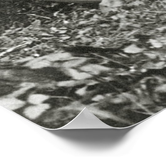 Dag in Big Lagoon, 1908 Poster (Hoek)